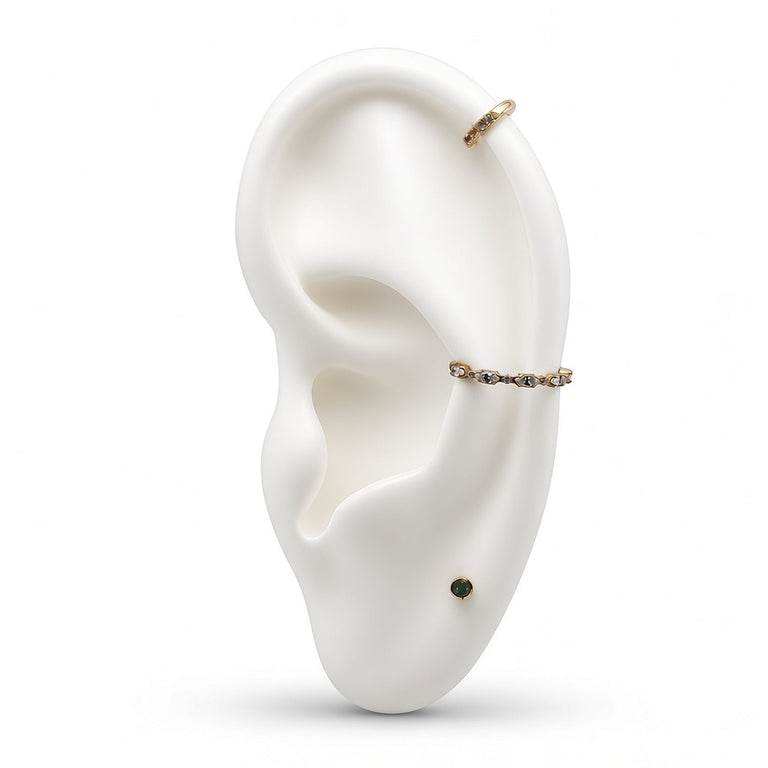 Titan G23 Conch Segment Clicker mit Zirkonia – 1.2 mm / 12 mm