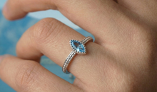 Ring ALENIA – Blautopas