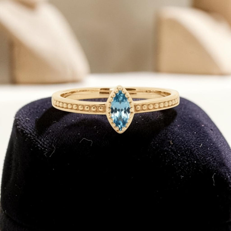 Ring ALENIA – Blautopas