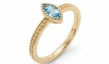 Ring ALENIA – Blautopas