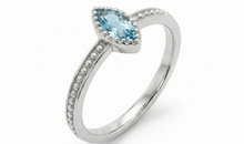 Ring ALENIA – Blautopas