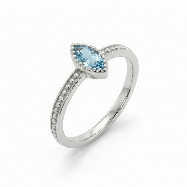 Ring ALENIA – Blautopas