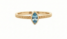 Ring ALENIA – Blautopas