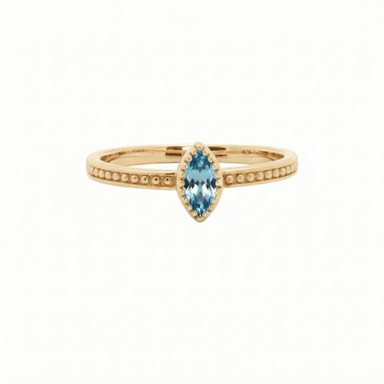 Ring ALENIA – Blautopas