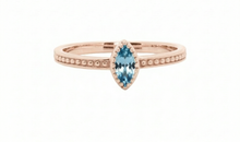 Ring ALENIA – Blautopas