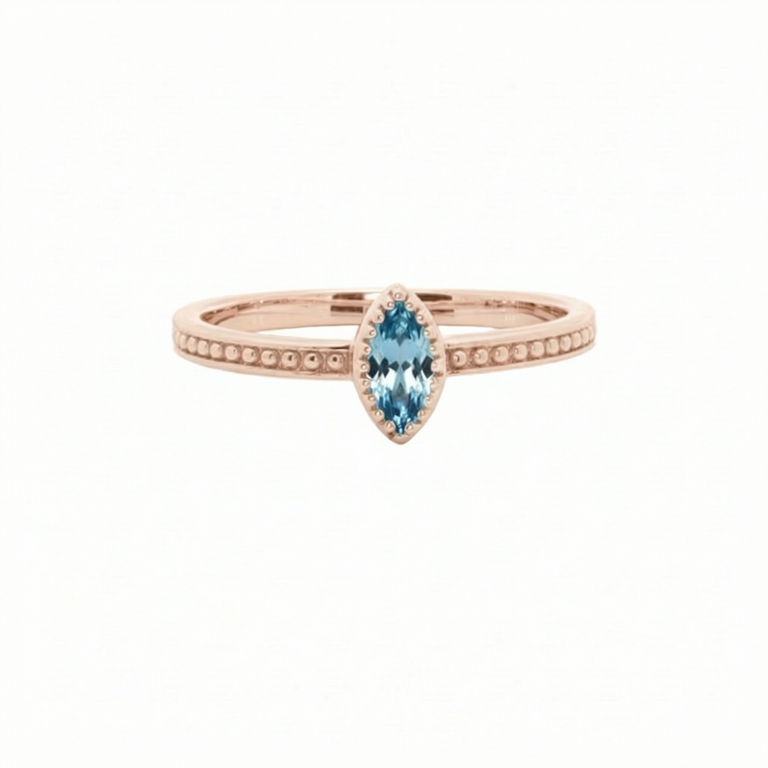 Ring ALENIA – Blautopas