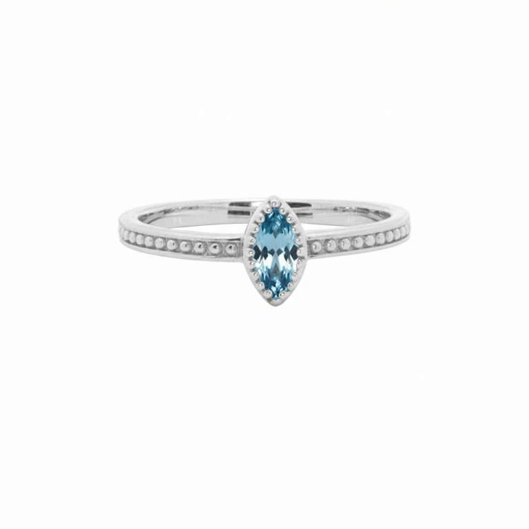 Ring ALENIA – Blautopas