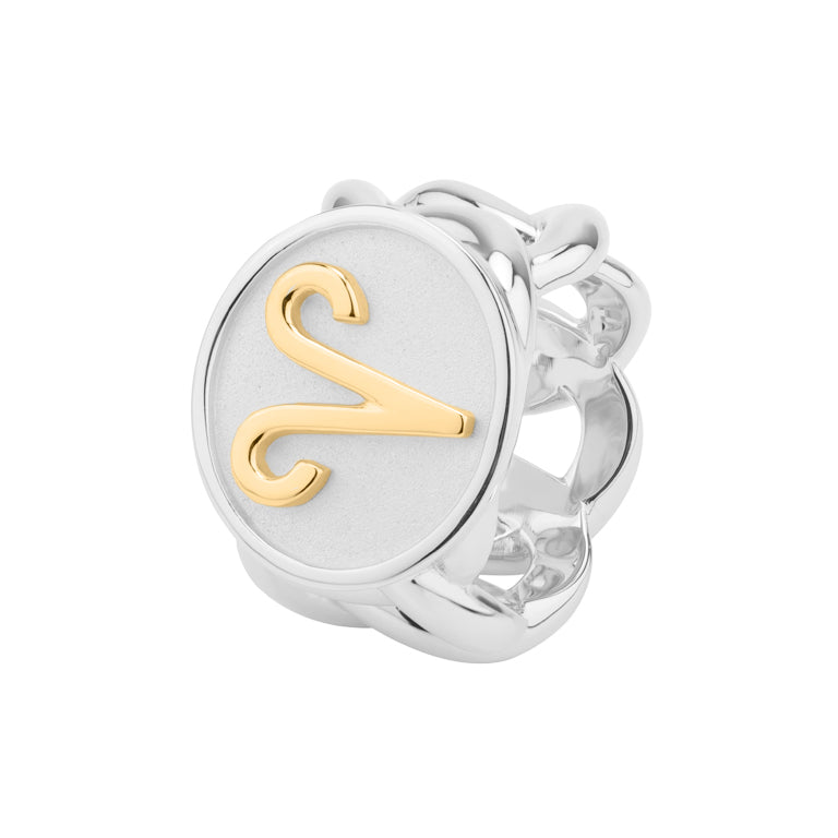 Statement Ketten Ring ARIES bicolor