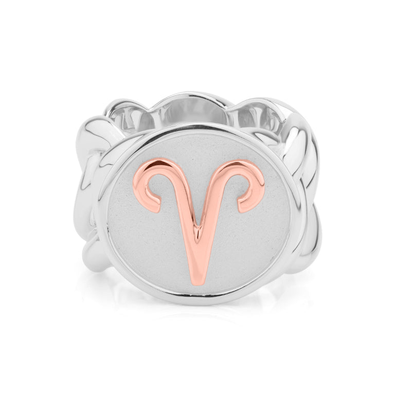 Statement Ketten Ring ARIES bicolor