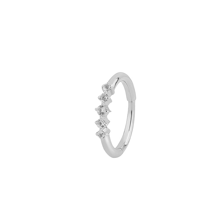 Segmentring DIANA