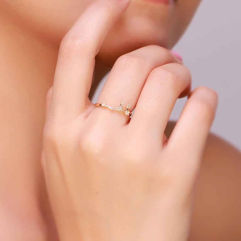 Sternzeichen Ring FISCHE PISCES Constellation