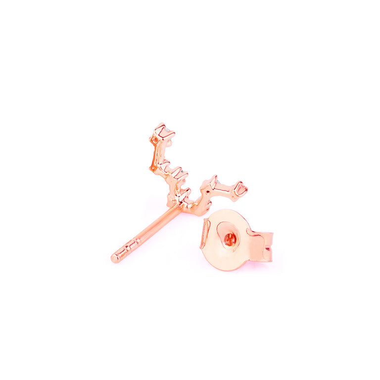 Sternzeichen Ohrstecker FISCHE PISCES Constellation