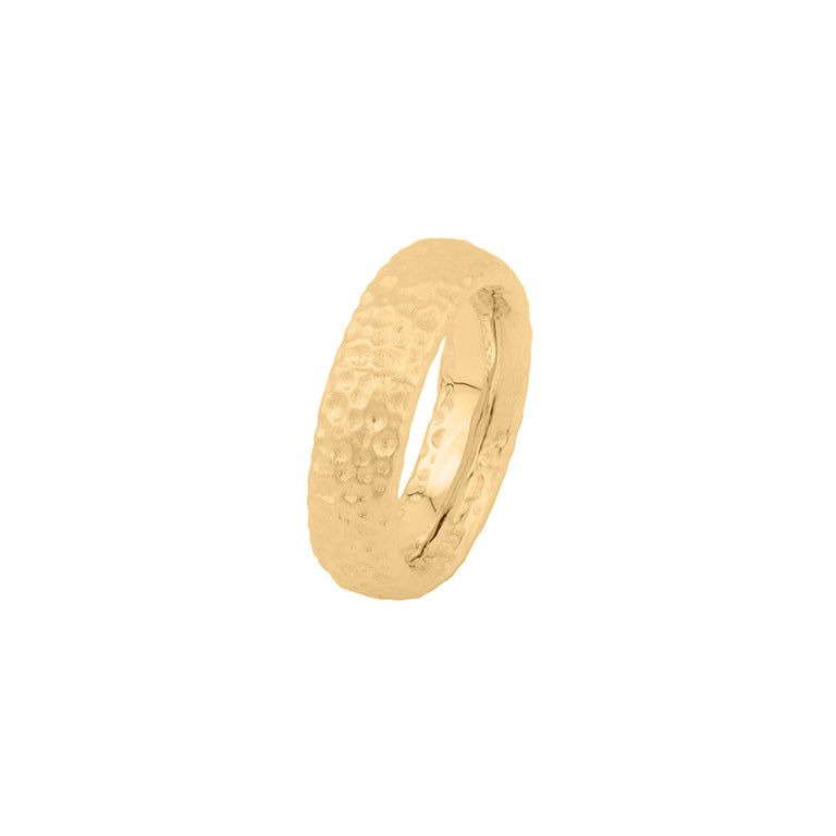 Ring TALES