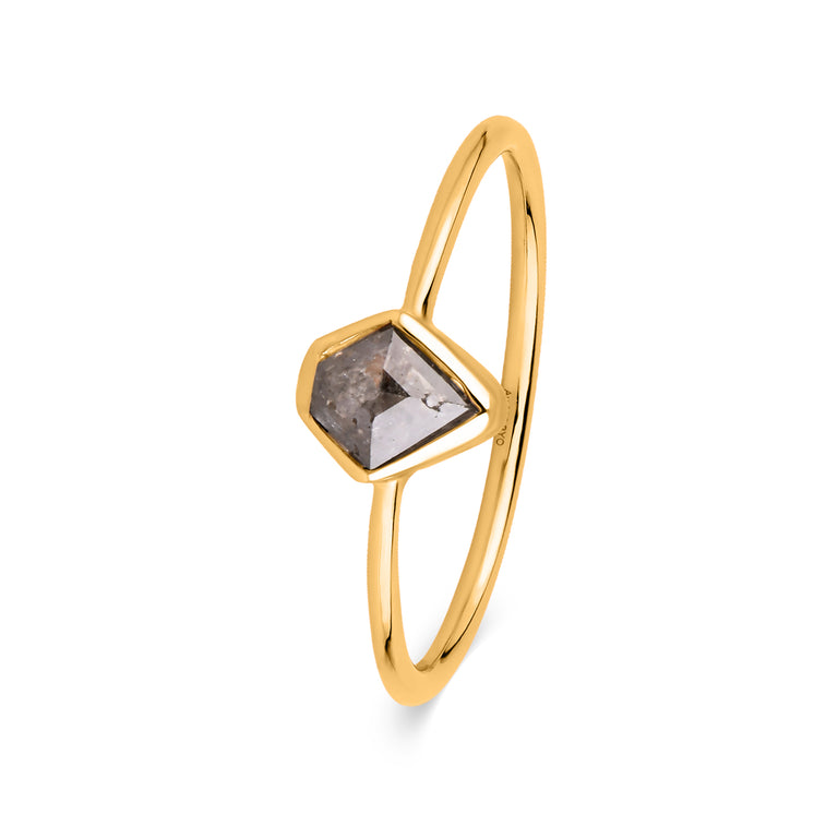 Ring Salt&Pepper Diamant Nr1 Gold