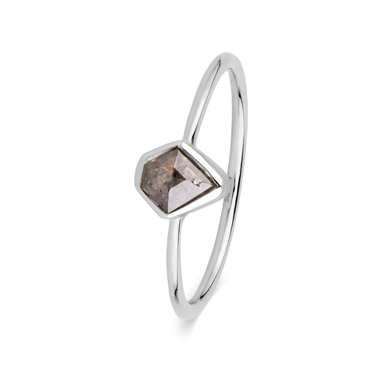 Ring Salt&Pepper Diamant Nr1 Gold