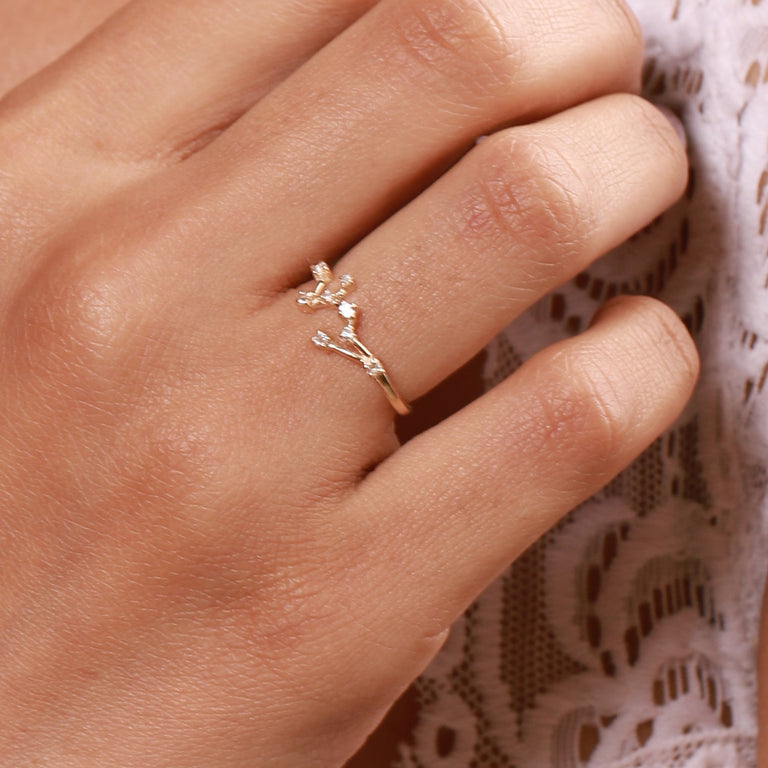 Sternzeichen Ring SCHÜTZE SAGITTARIUS Constellation Silber