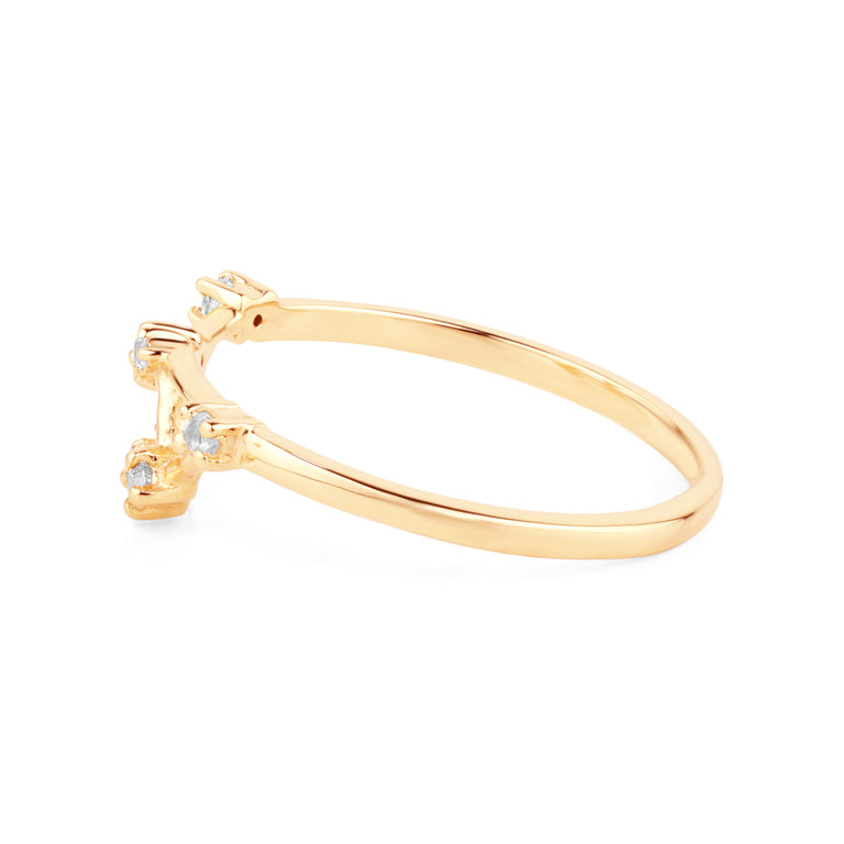 Sternzeichen Ring WASSERMANN AQUARIUS Constellation
