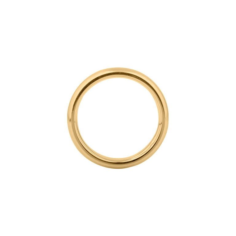 Edelstahl Ring WIARA 4mm