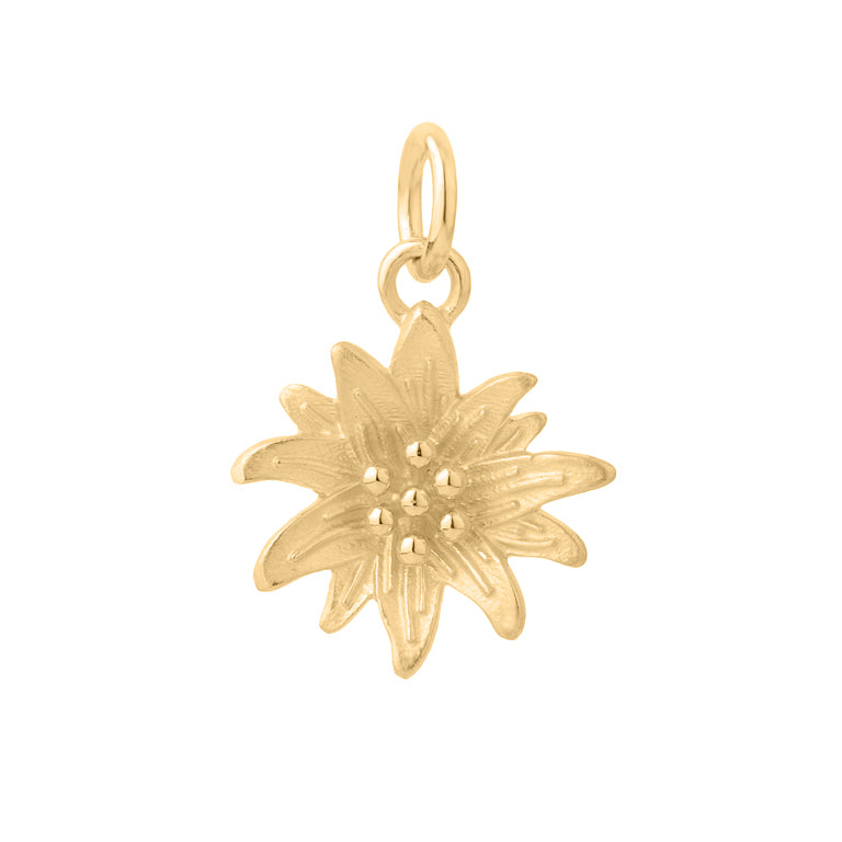 Anhänger EDELWEISS Silber