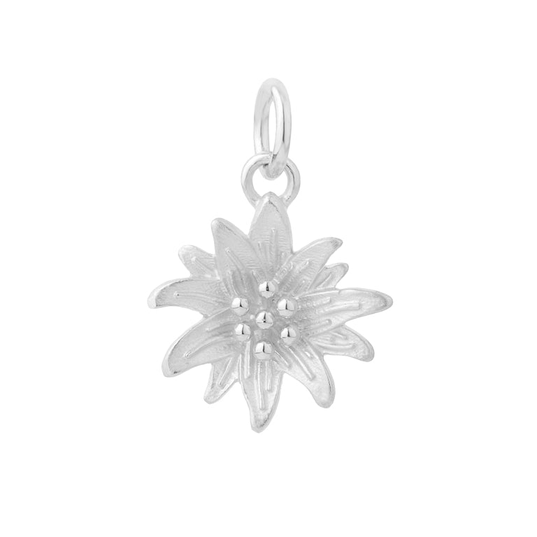 Anhänger EDELWEISS Silber
