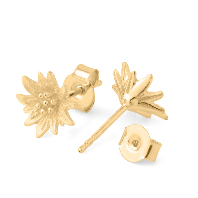 Ohrstecker EDELWEISS Silber 10 mm