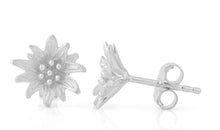 Ohrstecker EDELWEISS Silber 10 mm