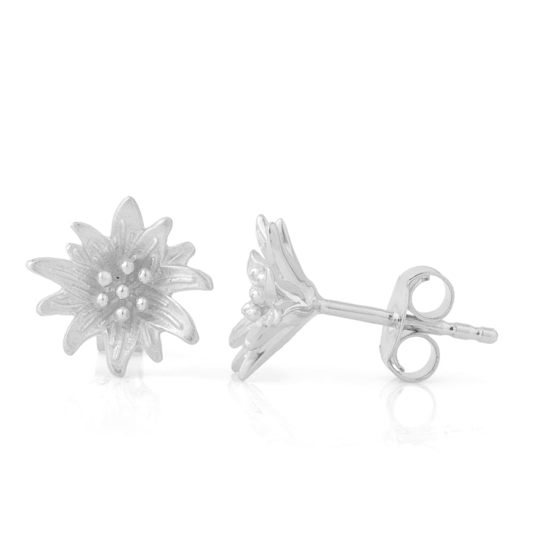 Ohrstecker EDELWEISS Silber 10 mm