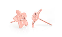 Ohrstecker MIRKA Silber EXPRESS