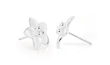 Ohrstecker MIRKA Silber EXPRESS