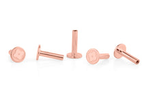 Piercing STAB Hinterteil internal thread SIGNATURE