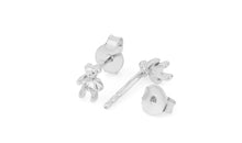 Ohrstecker TEDDY